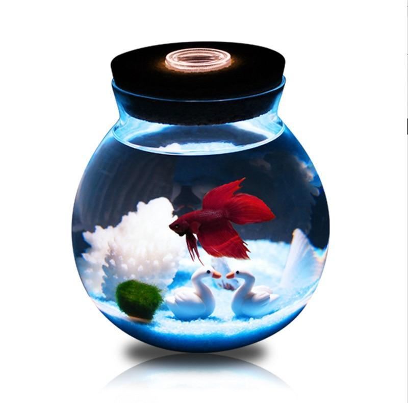 mini betta aquarium met kleine lampjes