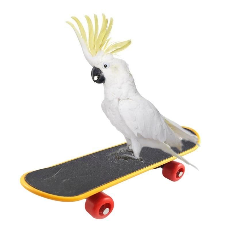 mini skateboardstandaard zitstok voor vogels