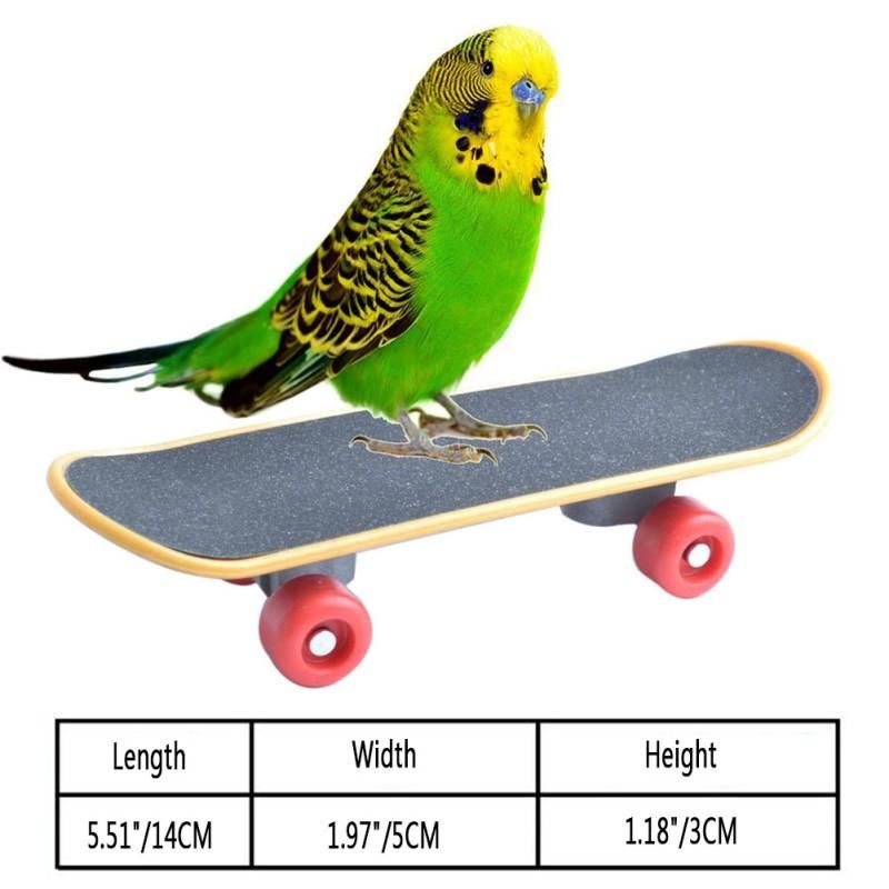 mini skateboardstandaard zitstok voor vogels