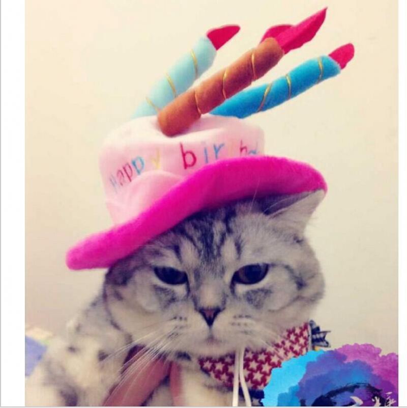 mode 3d verjaardagstaart met kaarsen pet hoed