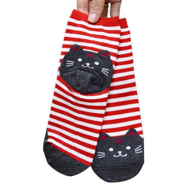 mooie hoge sokken voor katten
