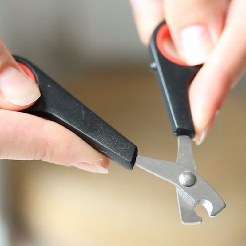 nagelknipper voor het verzorgen van huisdieren