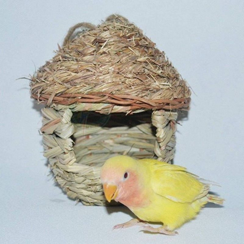 naturel papegaai knus warm met kunstmatig geweven gat