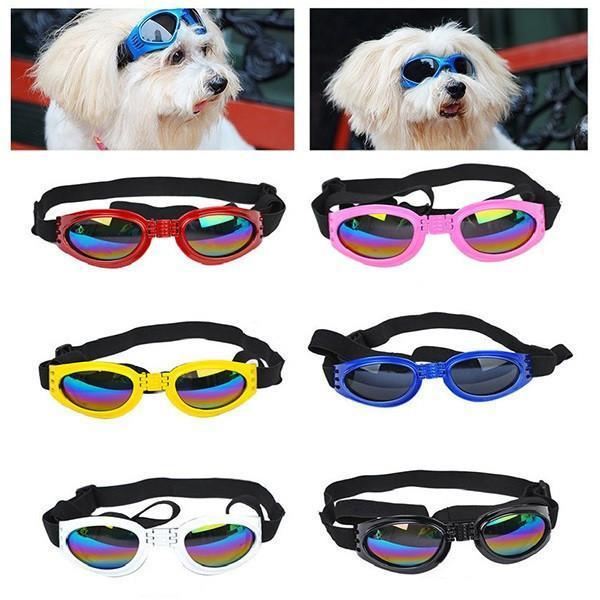 oogbeschermingsbril voor hond
