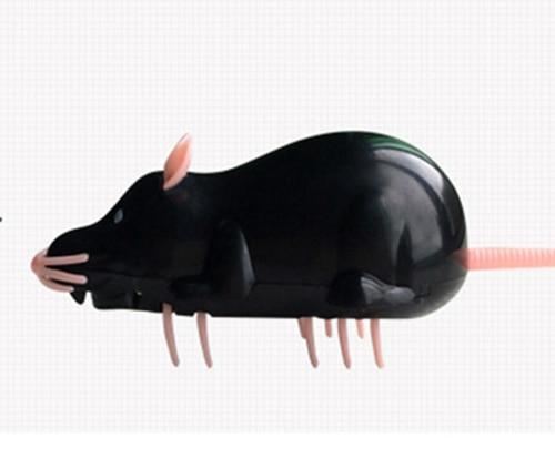 zwarte muis