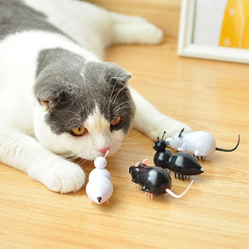op batterijen werkend kattenspeelgoed