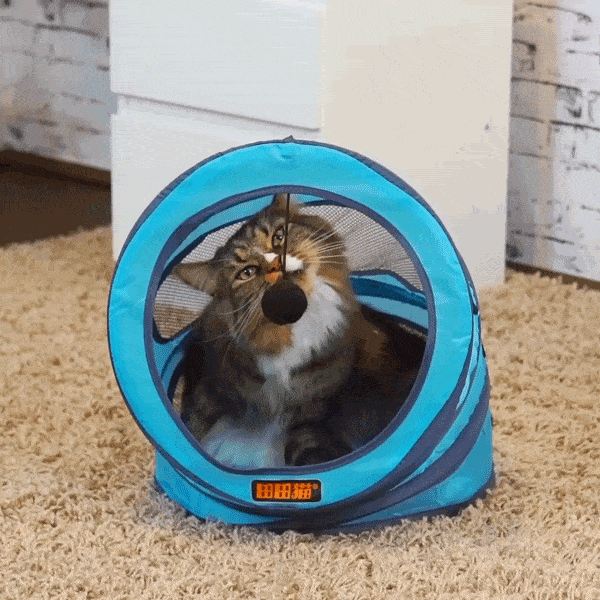 opvouwbare kattenspeelgoed bedtunnel
