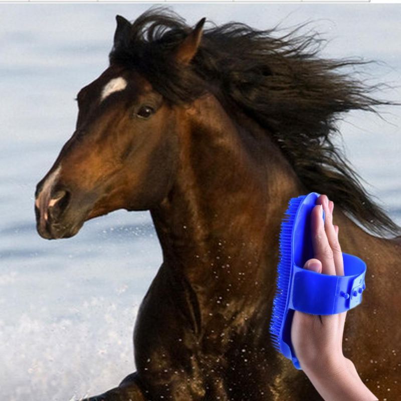 paardenhaarverzorging polijsten massageborstel