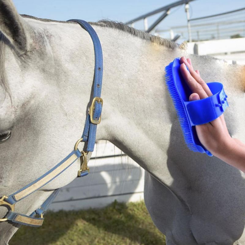 paardenhaarverzorging polijsten massageborstel