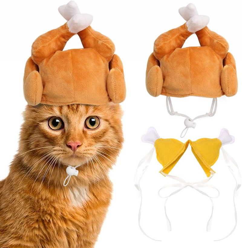 pet turkije hoed