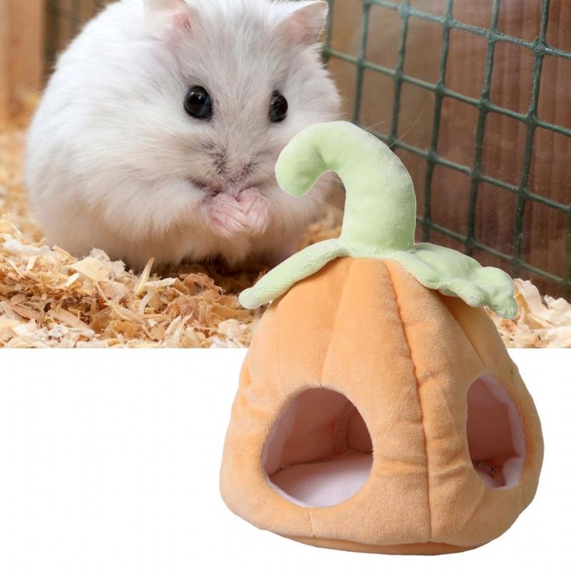 pompoen design hamsterkooi