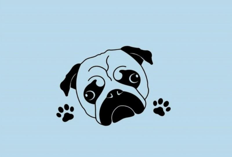 pug hoofd muur sticker