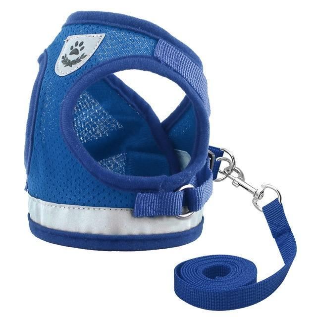  blauw