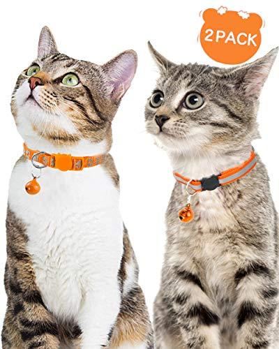 reflecterende halsband voor kleine huisdieren