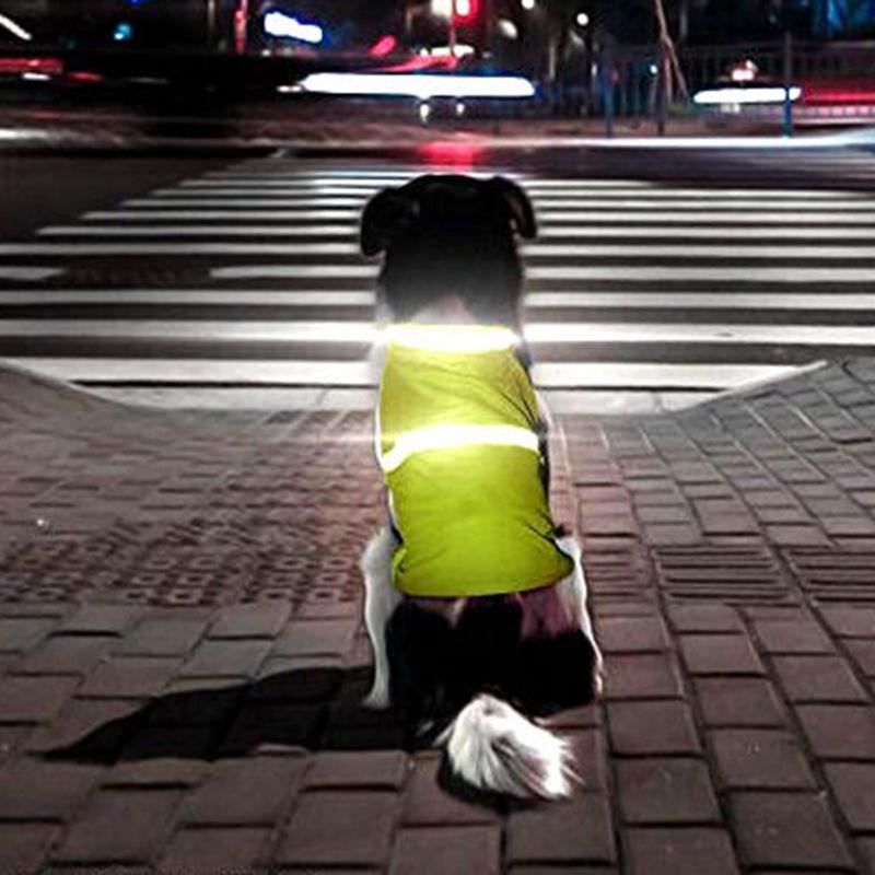 reflecterende vesten voor huisdieren