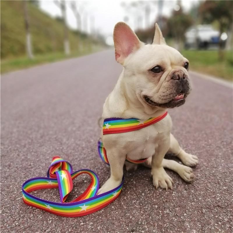 regenboogharnasvest voor huisdieren met handvat