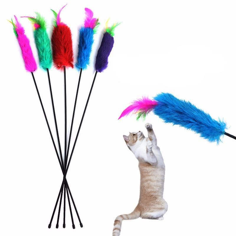 schattig design draad wand kleurrijke veer teaser kattenspeeltje