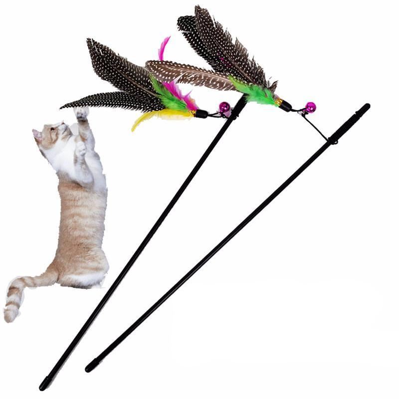 schattig design kattenspeeltje met veren