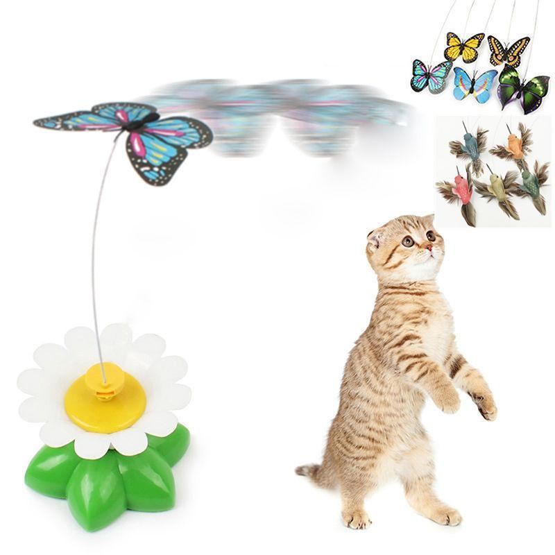 schattig elektrisch vlinder / kolibrie kattenspeeltje