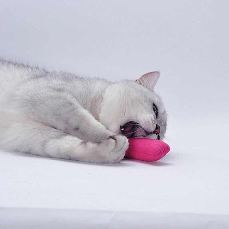 schattig pluche kattenkruid speelgoed in de vorm van een dier
