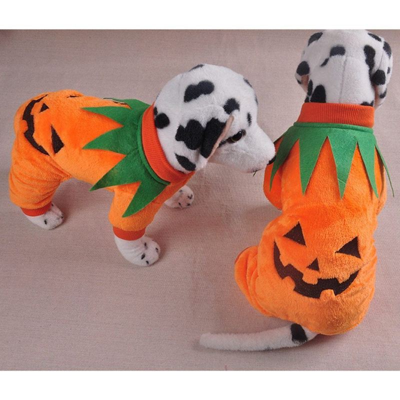 schattig pompoen kostuum voor huisdieren