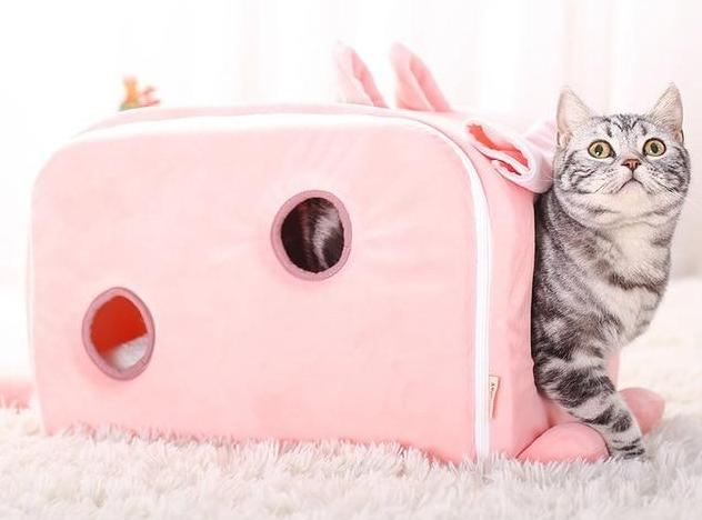 schattig roze bed voor huisdieren