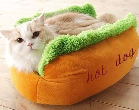 schattig warm kattenhuisbed met afneembaar kussen