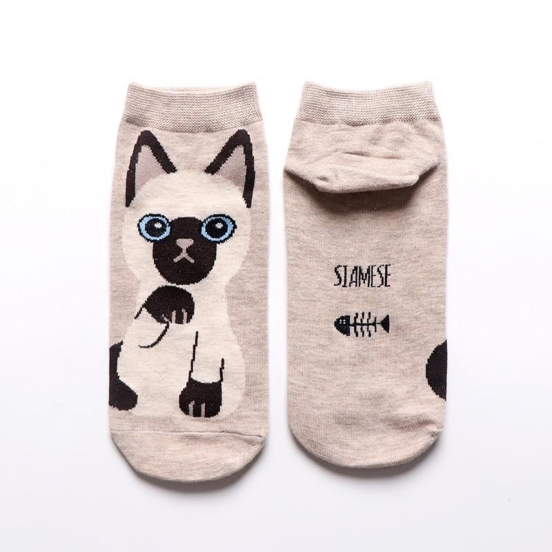 schattige kat sokken