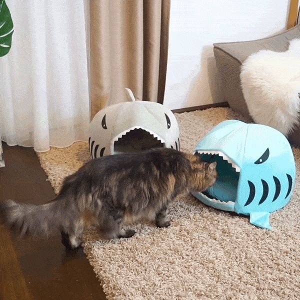 shark kattenhuis met afneembaar bedkussen