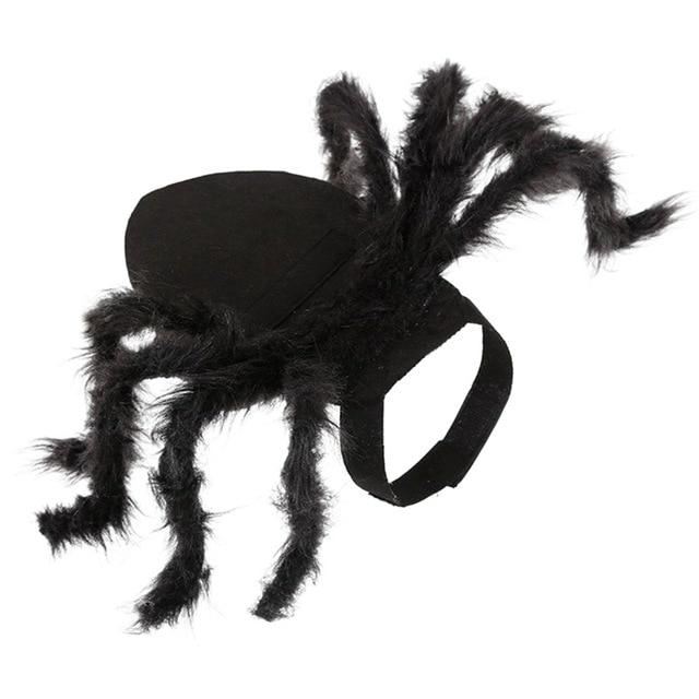 spider pet halloween kostuum