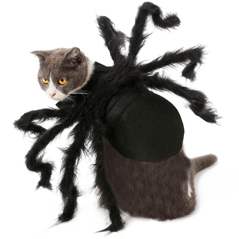 spider pet halloween kostuum