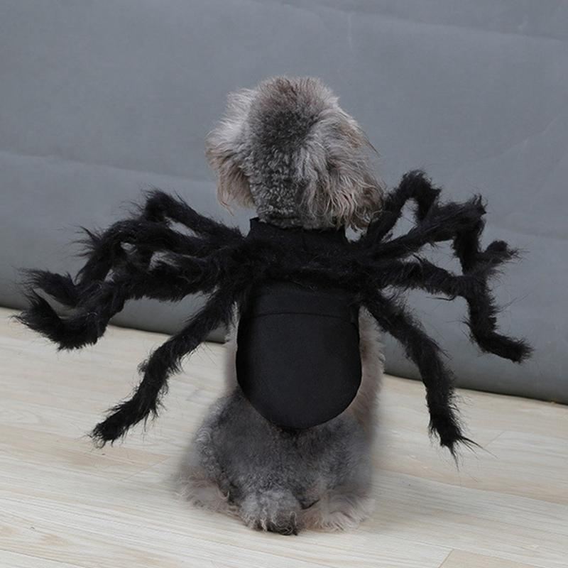 spider pet halloween kostuum