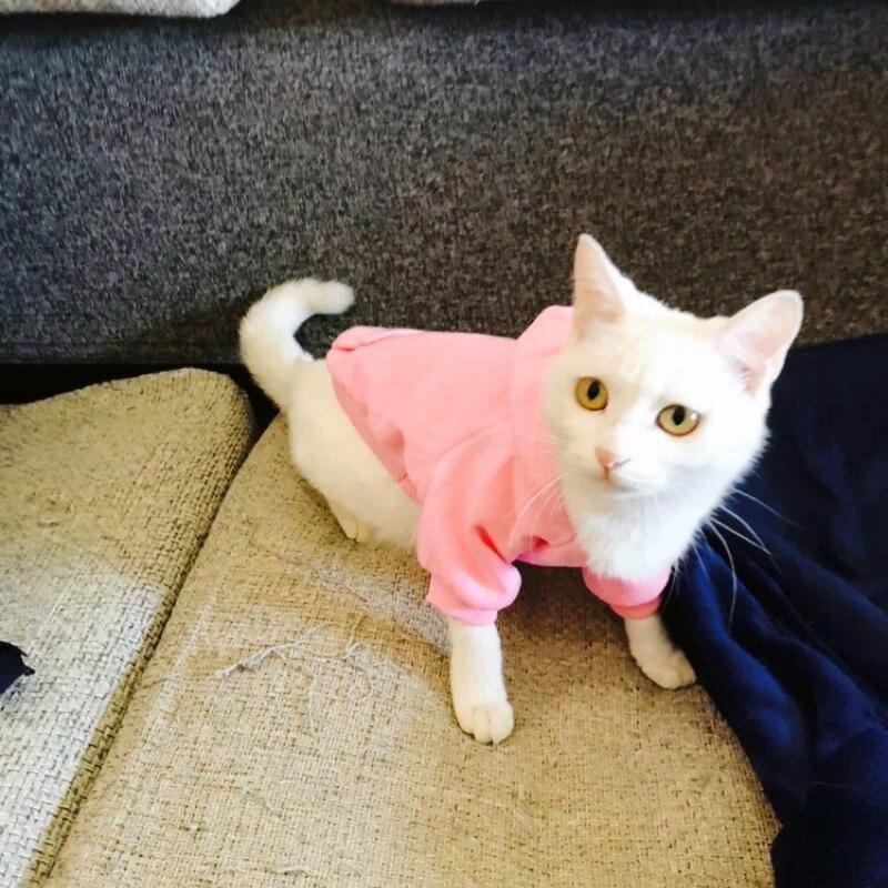 sweatshirt met capuchon voor huisdieren