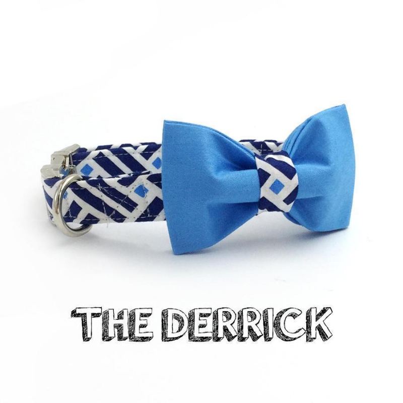 the derrick fashion pet set van halsband en riem