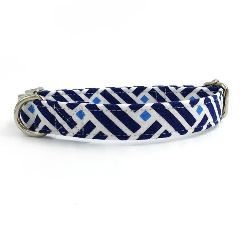 the derrick fashion pet set van halsband en riem