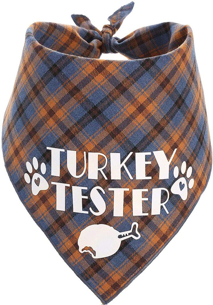 turkije proever thanksgiving bandana