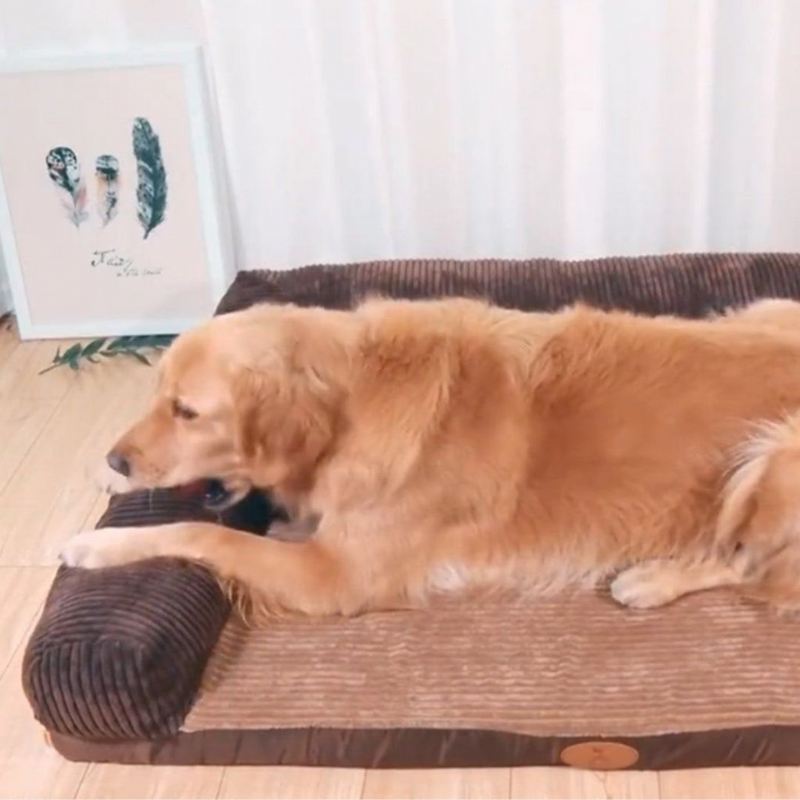 verbazingwekkend comfortabel troonbed voor uw huisdieren