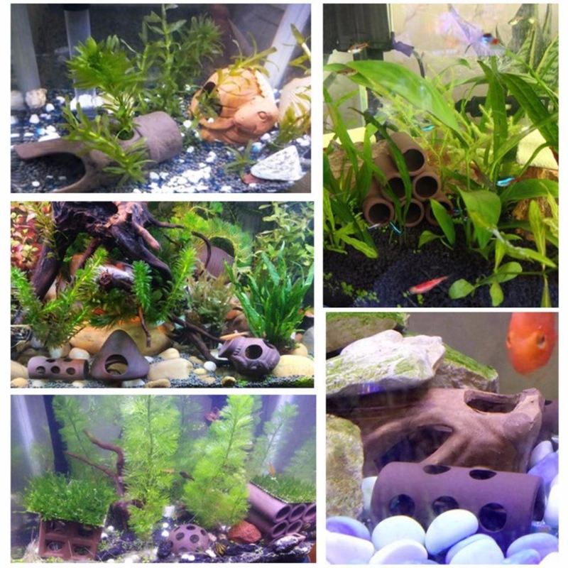 vis schuilplaats aquarium decoratie