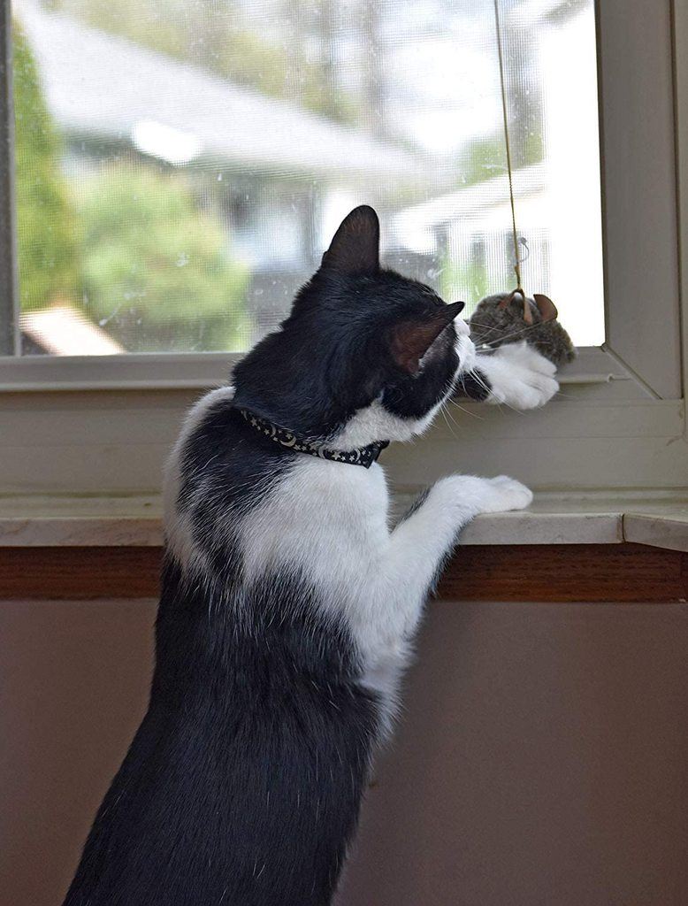 vliegende piepende muis kattenspeeltje