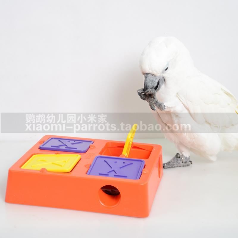 voedsel traktatie uitdelen interactieve game puzzel training vogel speelgoed