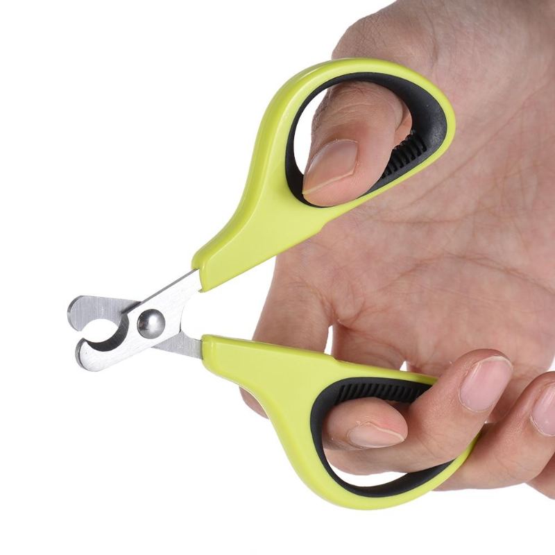 vogel nagelknipper