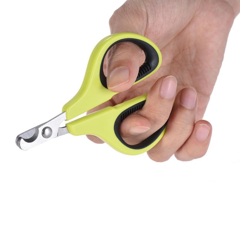 vogel nagelknipper