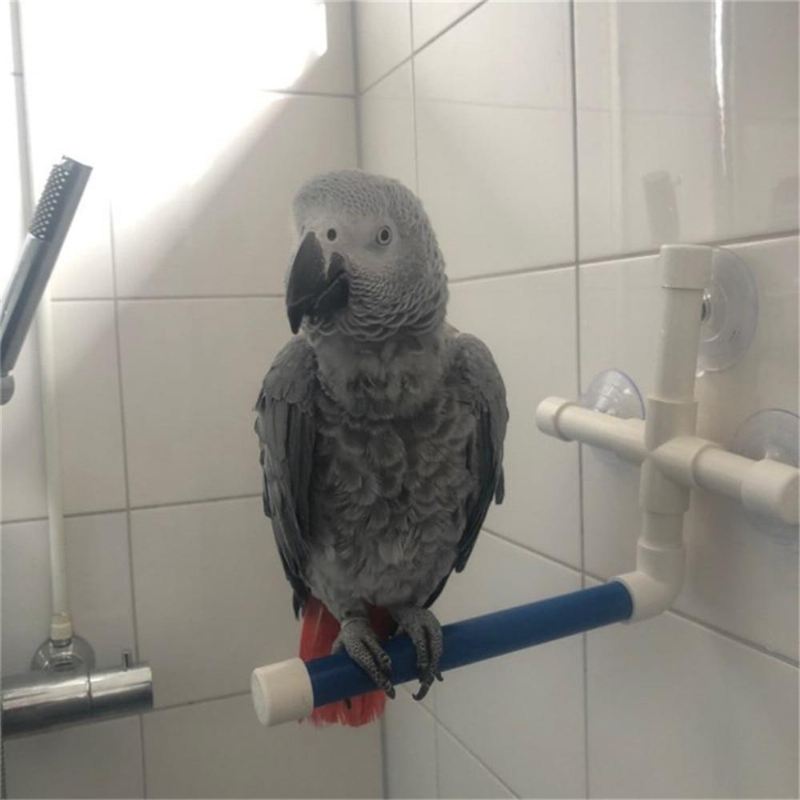 vogel opvouwbare douchestandaard