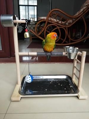 vogel zitstokken papegaaienspeeltuin met voederbak
