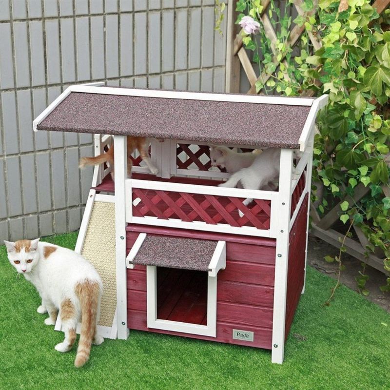 weerbestendig kattenhuis voor buitenopvang