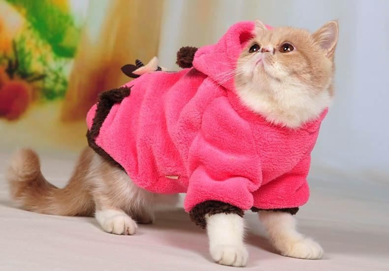 zachte en warme tweezijdige kattenfleece hoodie