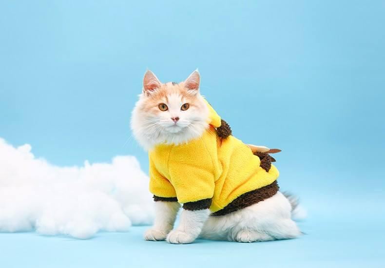 zachte en warme tweezijdige kattenfleece hoodie