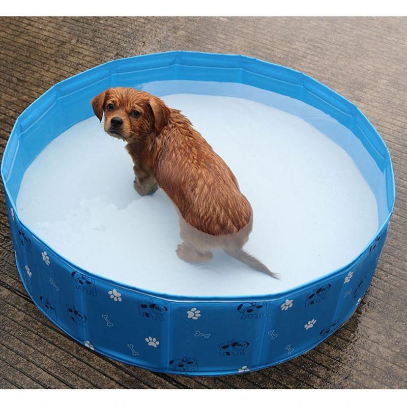 zomer draagbaar zwembad voor huisdieren