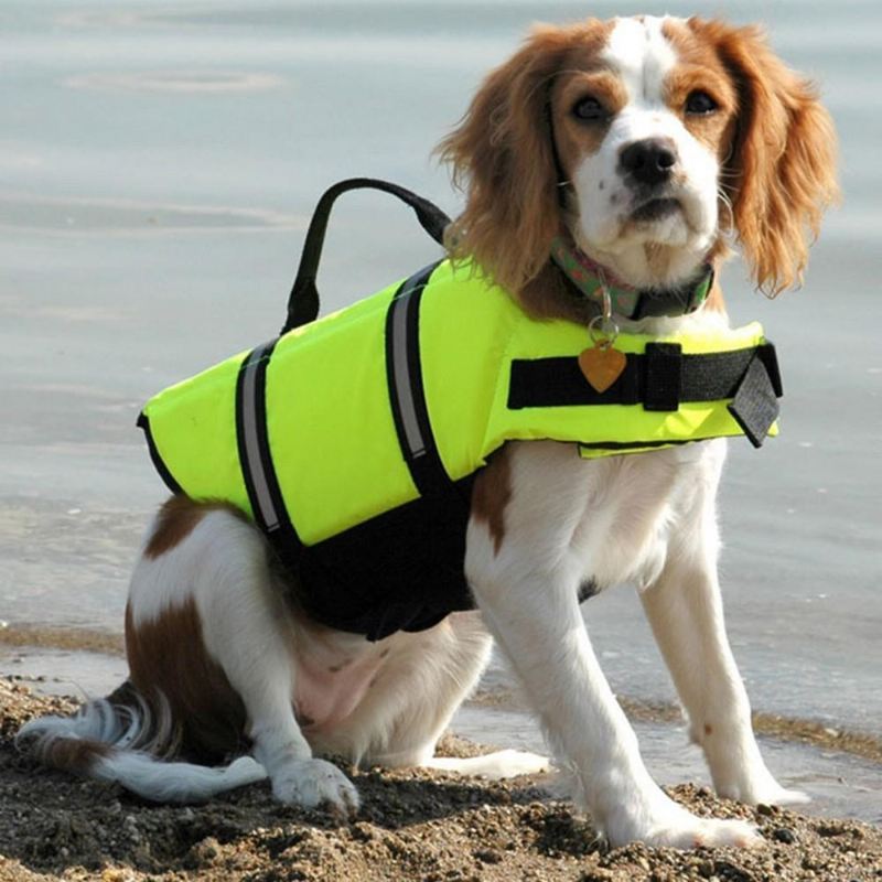 zwemvest voor huisdieren zwemvest veiligheid harnas