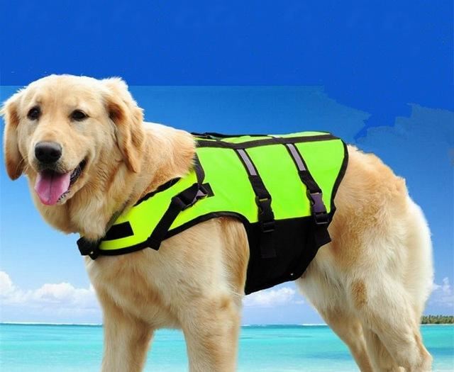 zwemvest voor huisdieren zwemvest veiligheid harnas